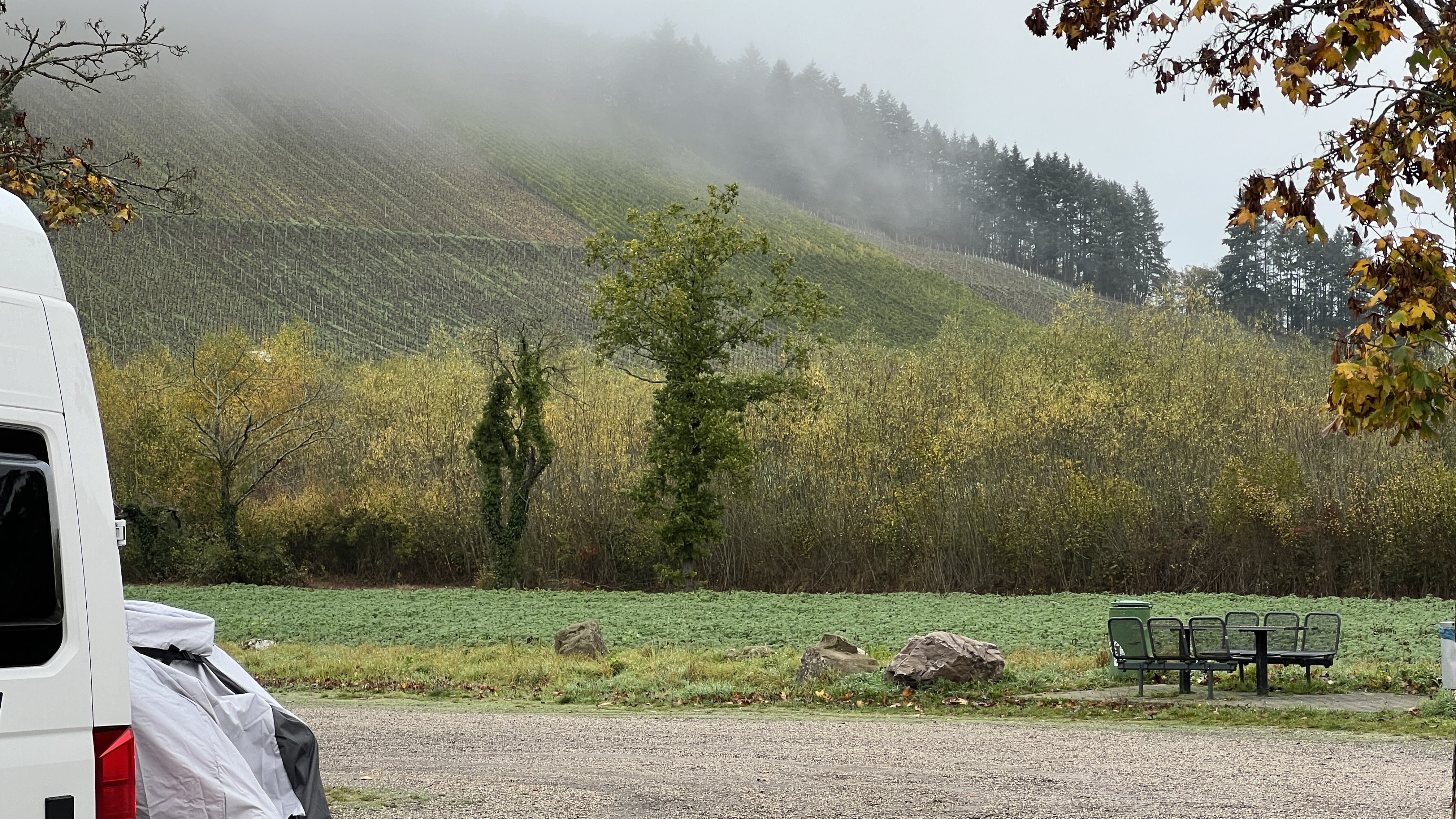 CamperWeinberg2023